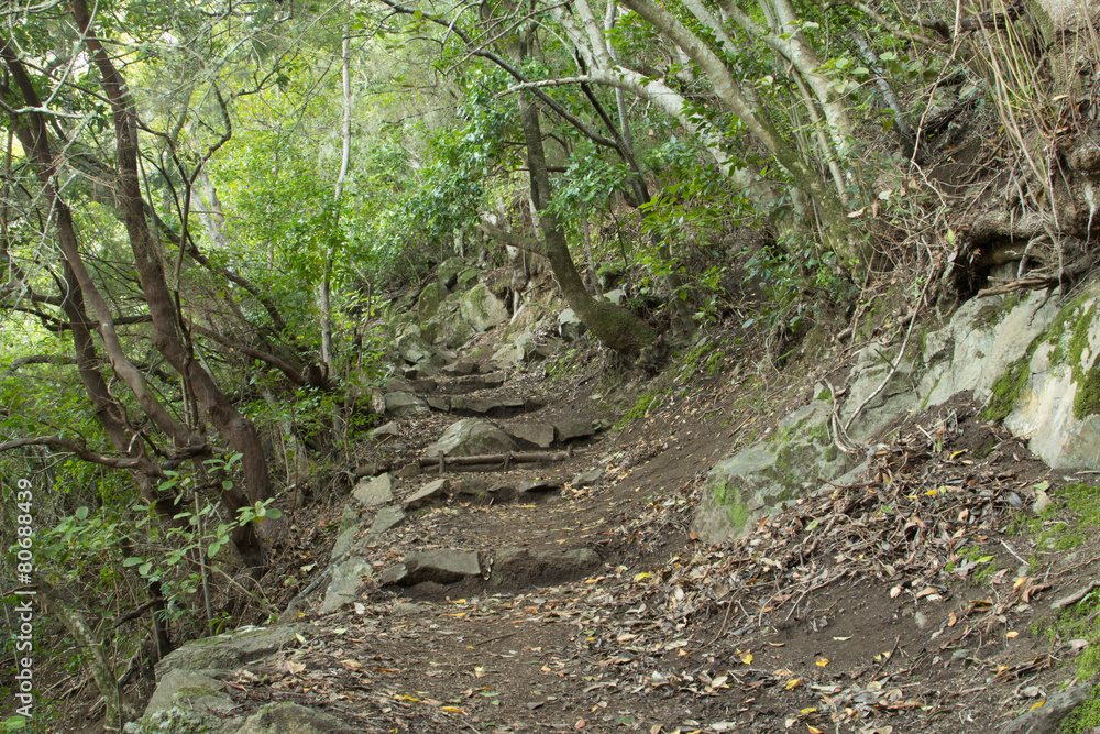 hikingpath in La Palma hikingpath in La Palma