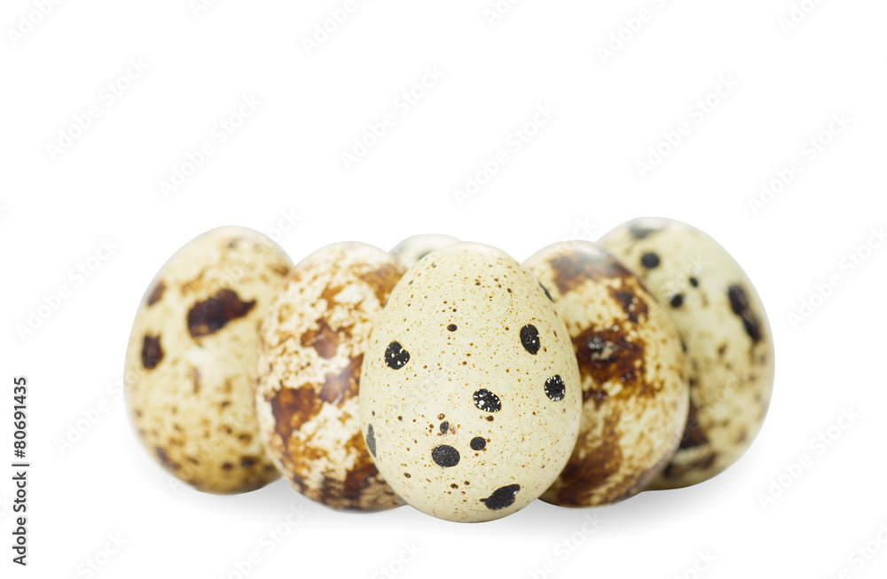 Obraz premium quail eggs on a white background