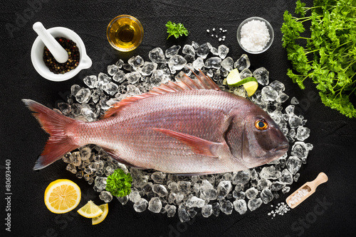 Photography Fresh red porgy fish and ingredients on ice on a black stone tab
