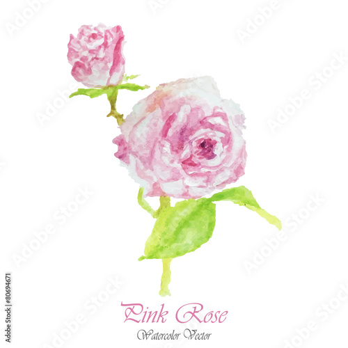 red,pink Watercolor floral summer,spring background.colorful ros