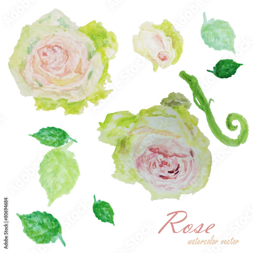 red,pink Watercolor floral summer,spring background.colorful ros