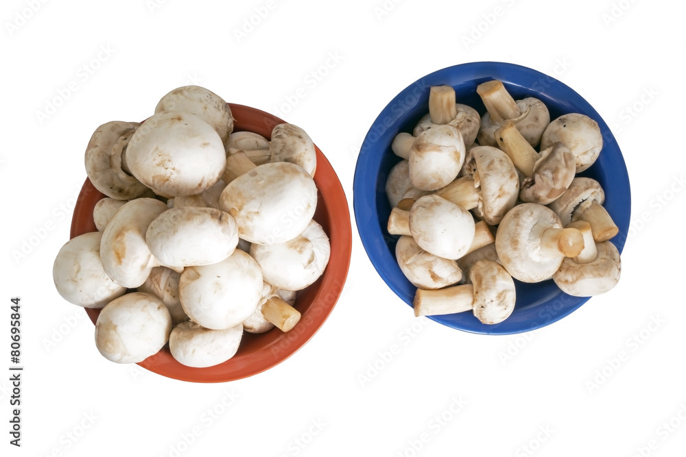 Mushrooms Mushrooms