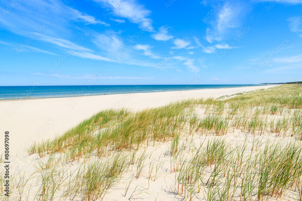 Grass on dunes on beautiful Baltic Sea beach near Leba, Poland Grass on dunes on beautiful Baltic Sea beach near Leba, Poland