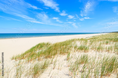 Fototapeta Naklejka Na Ścianę i Meble -  Grass on dunes on beautiful Baltic Sea beach near Leba, Poland