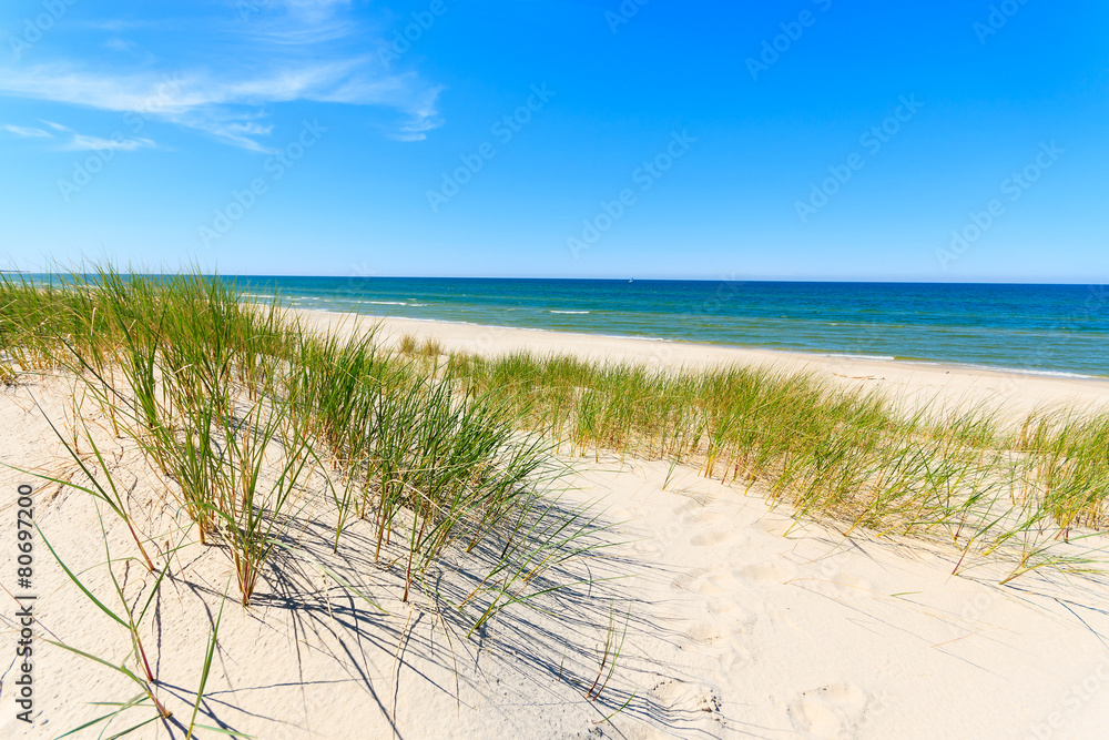 Grass on dunes on beautiful Baltic Sea beach near Leba, Poland Grass on dunes on beautiful Baltic Sea beach near Leba, Poland