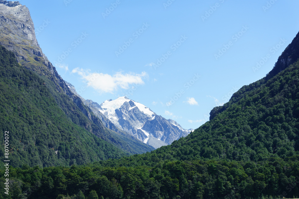 Southern Alps from Dart River on Rees Track