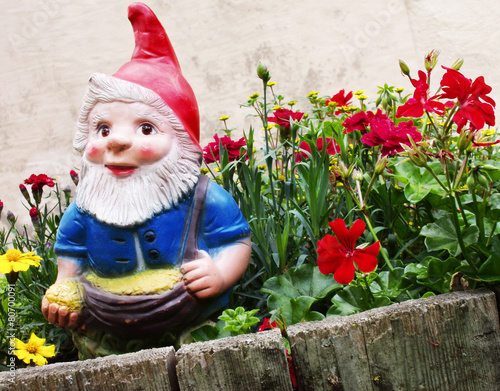 Garden Gnome photo