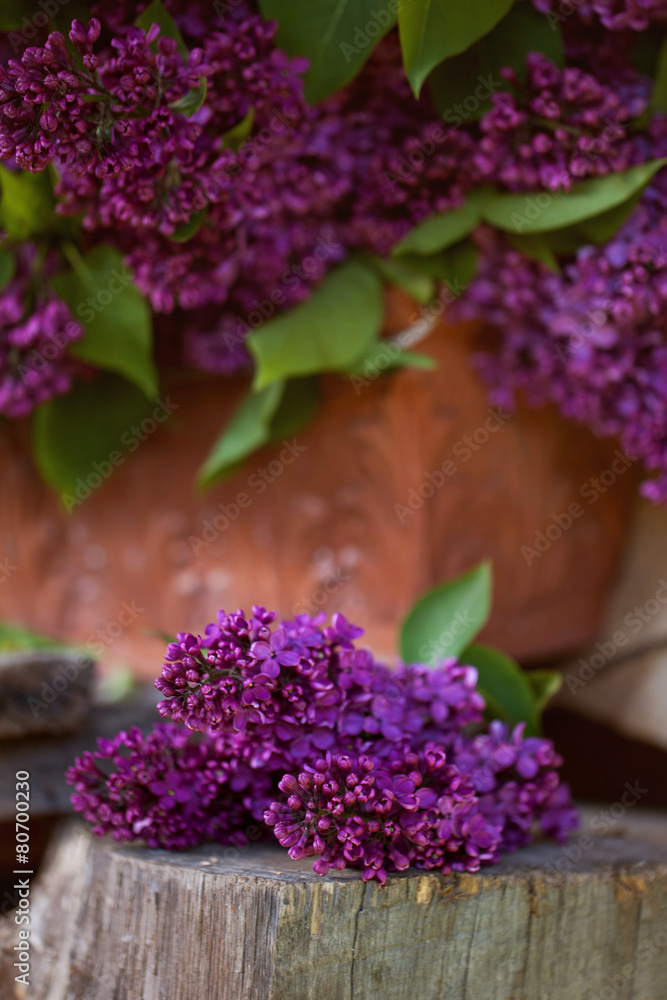 a bouquet of lilac , lilac flowers on wooden bacground - May a bouquet of lilac , lilac flowers on wooden bacground - May