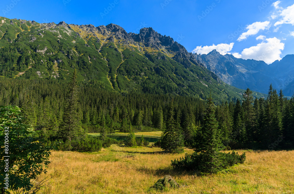 View of Tatra Mountains from trail to Morskie Oko, Poland