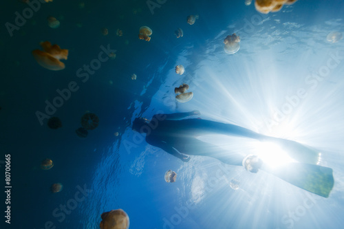 Fototapeta Naklejka Na Ścianę i Meble -  Tourist snorkeling in Jellyfish Lake