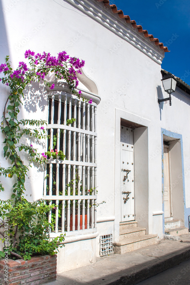 Hermosas calles y fachadas de las casas coloniales de la ciudad amurallada  de Cartagena de Indias en Colombia. Casa blanca con enredadera Stock-Foto |  Adobe Stock