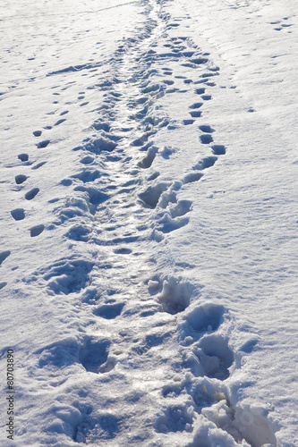 Narrow footpath in the snow