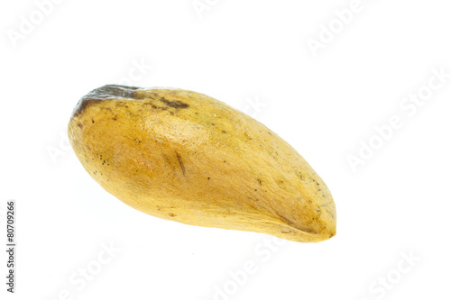 Yellow rotten mangoes isolated on white