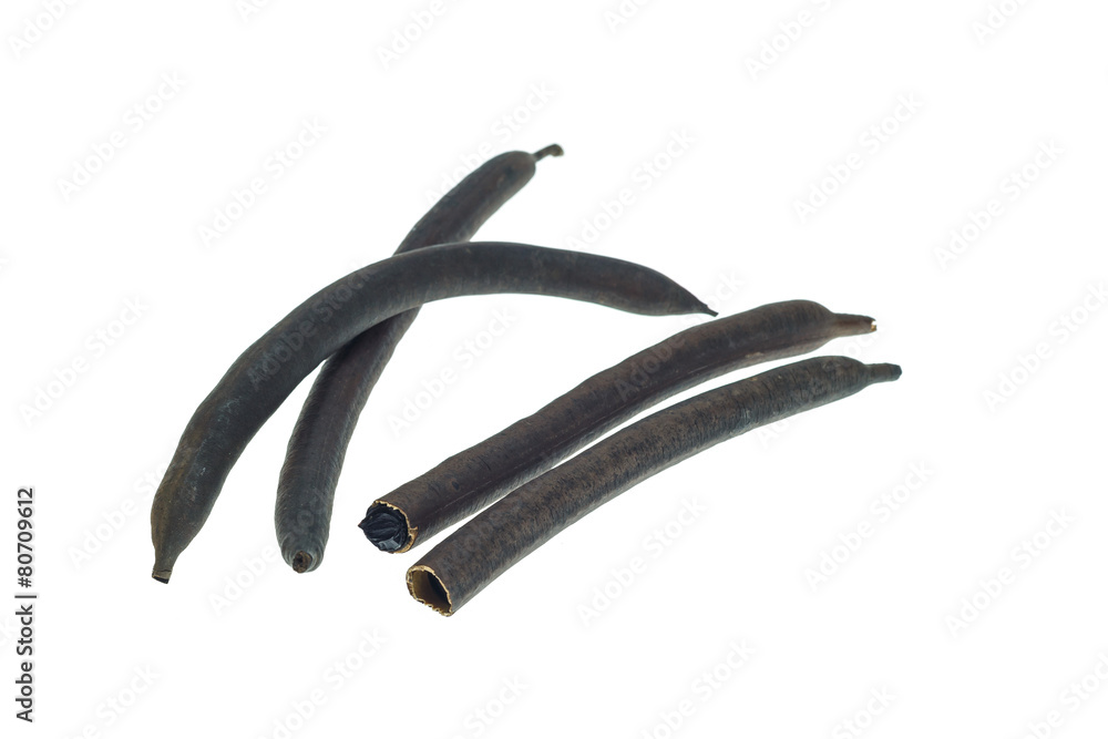 Obraz premium Fruit of Golden shower tree (Cassia fistula)