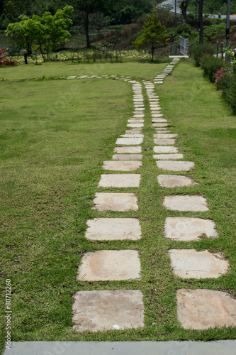 pathway in the garden