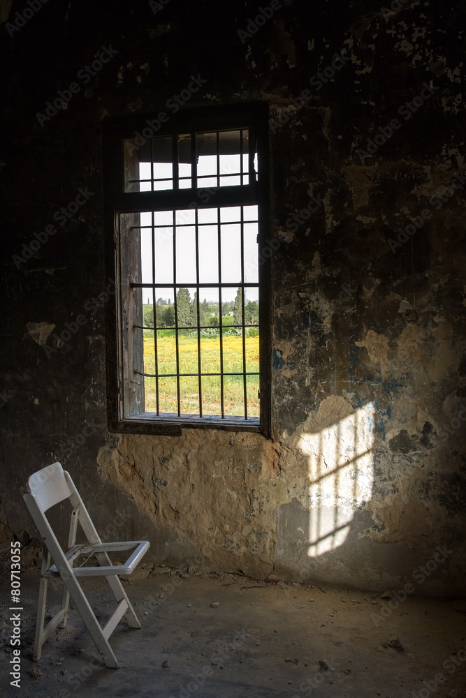 View of summer from the old window . View of summer from the old window .