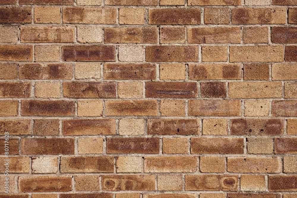 Fototapeta premium Brick wall detail