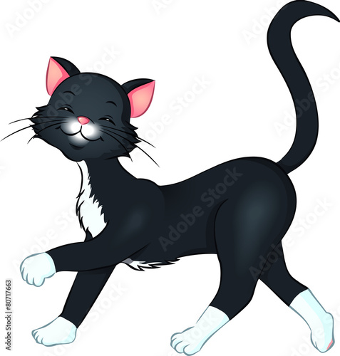 frecher schwarze Kater