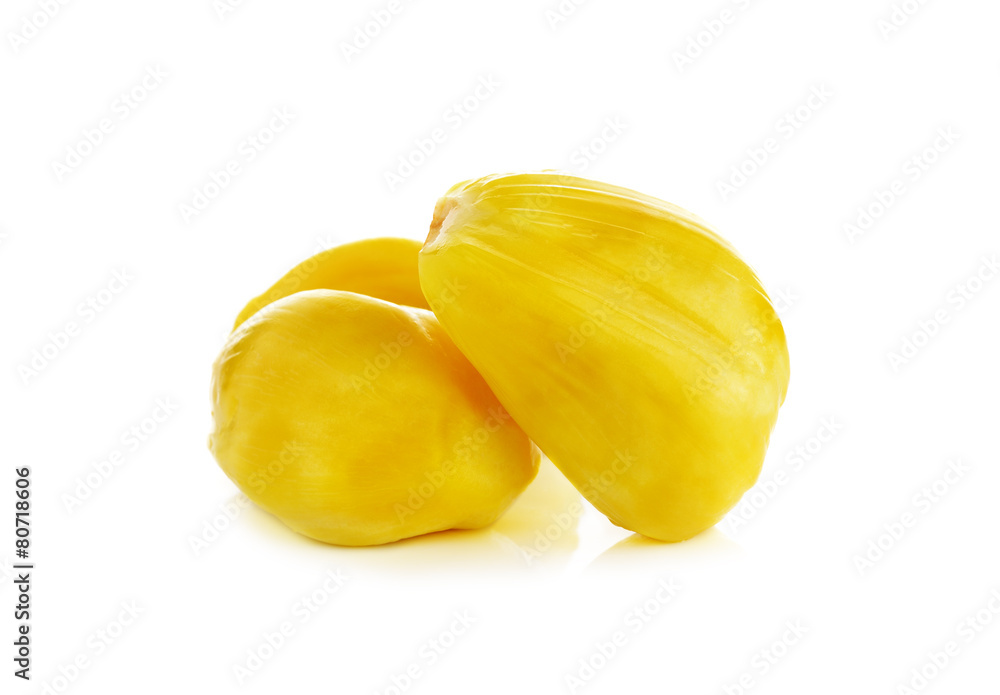 jackfruit isolated on white background jackfruit isolated on white background