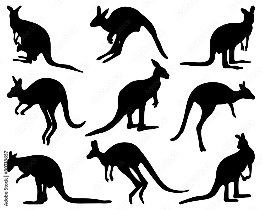 Black silhouettes of kangaroo, vector illustration Black silhouettes of kangaroo, vector illustration
