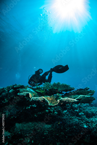 scuba diving diver kapoposang sulawesi indonesia underwater