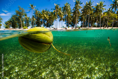 floating coconut clear water kapoposang indonesia scuba diver