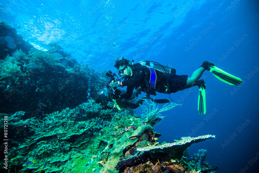 diver photo video seafan kapoposang indonesia scuba diving diver photo video seafan kapoposang indonesia scuba diving