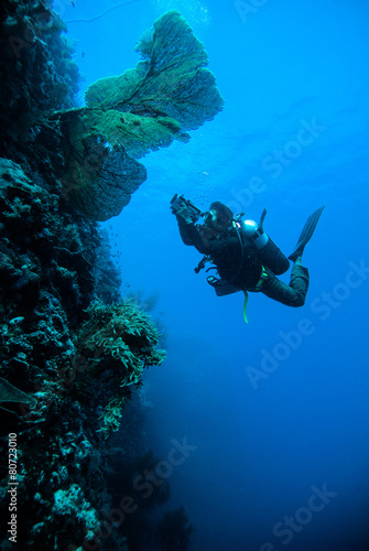 diver take photo video seafan kapoposang indonesia scuba diving