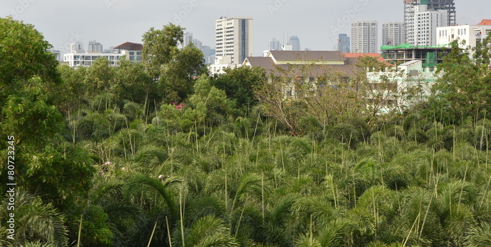 bangkok bangkok