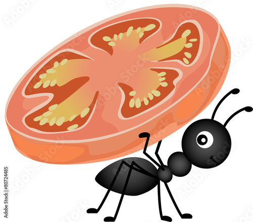 Ant carrying a slice tomato