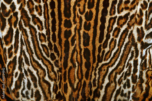 leopard fur coat background