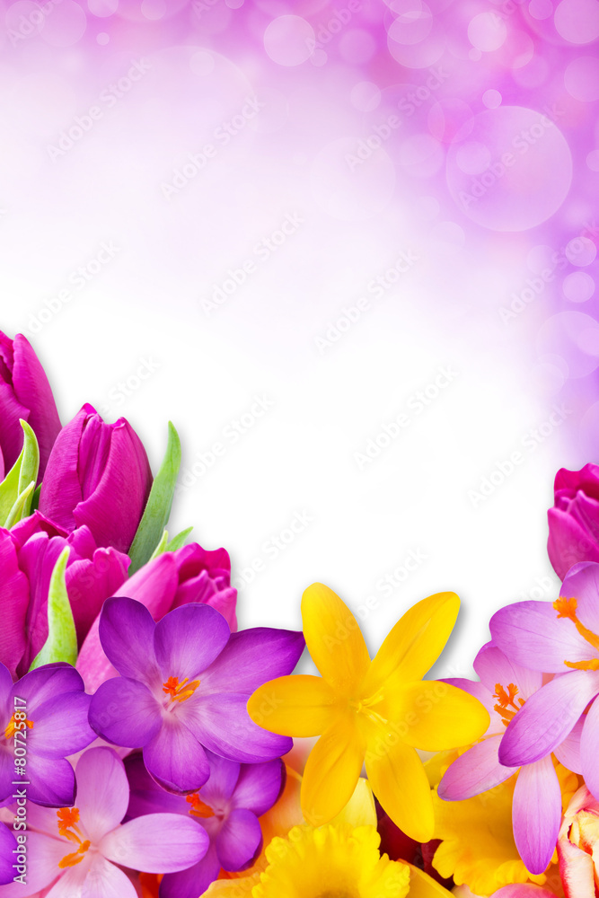 Frühling - Hintergrund Frühling - Hintergrund