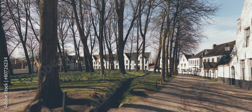 Urban park in winter with whitewashed houses