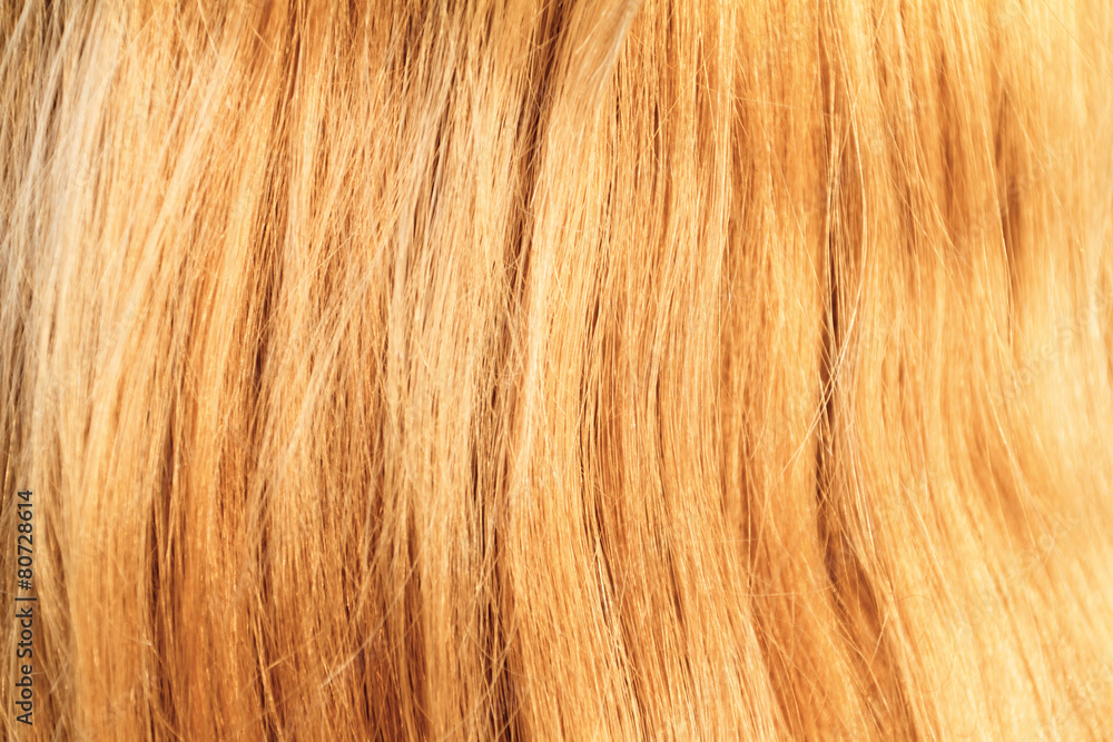 Naklejka premium Blonde hair