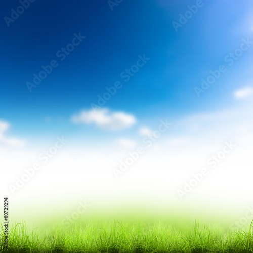 field