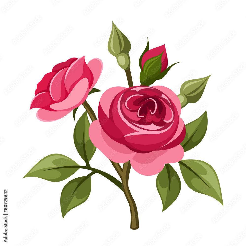 Obraz premium Branch of red roses. Vector illustration.