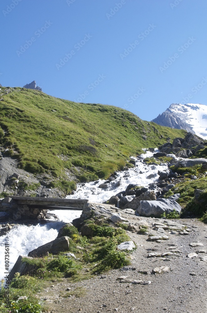 Fototapeta premium montagne en été