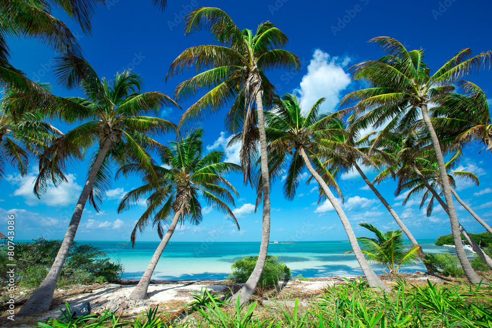 beach beach