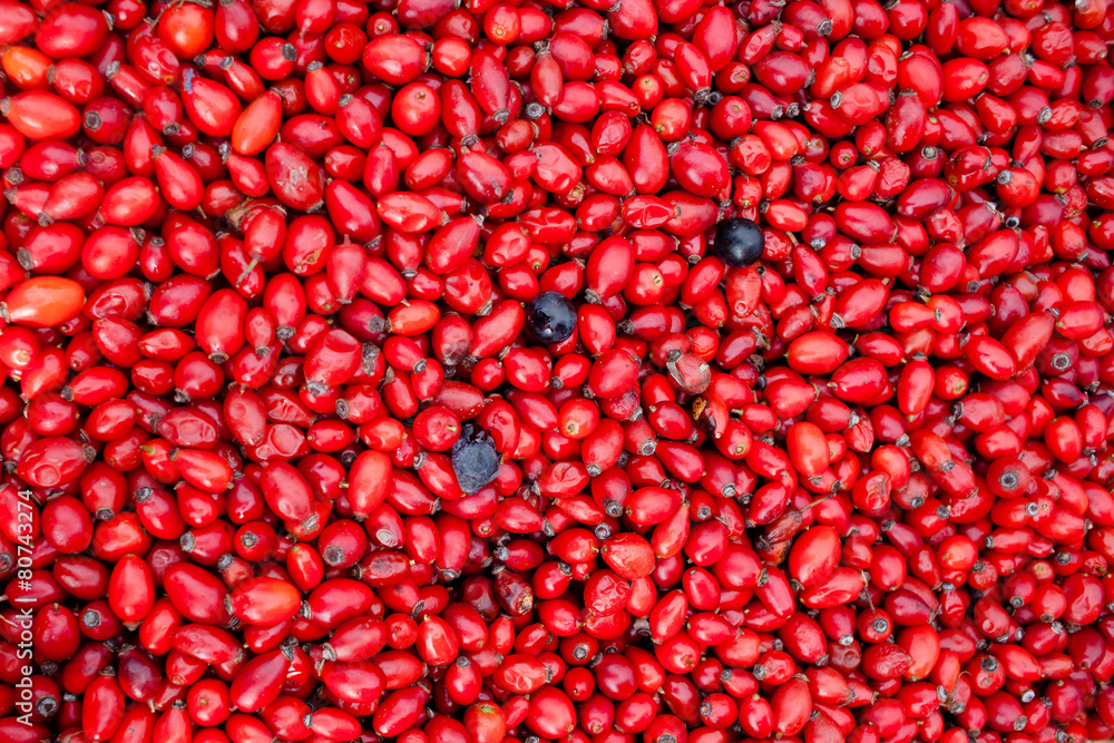 pile of red hip pile of red hip