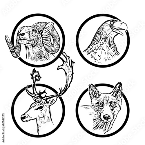 forest animals rings 2