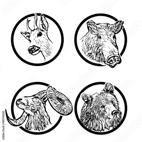 forest animals rings 1