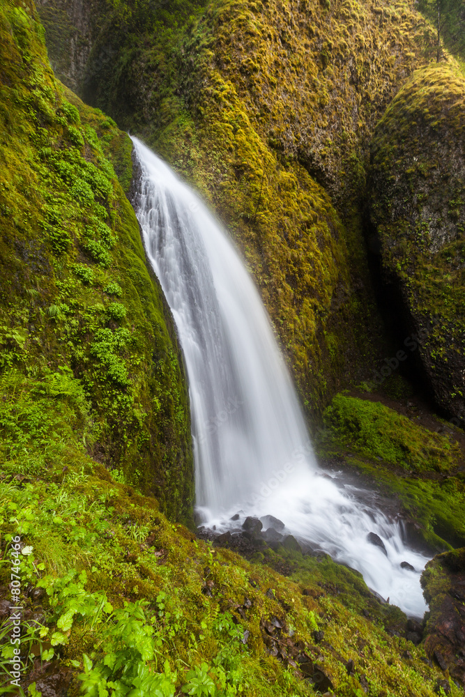 Obraz premium Wahkeena falls in Oregon, USA
