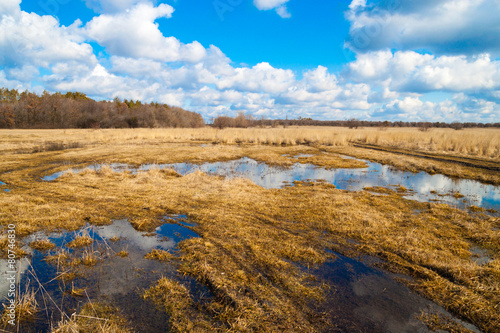 flooded meadows in early spring