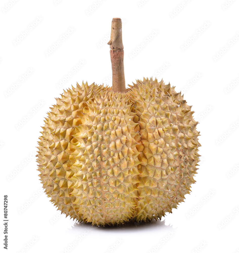 durian fruit isolated on a white background durian fruit isolated on a white background