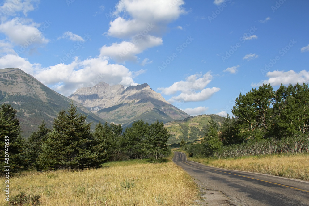 Naklejka premium Road through Rocky Mountain foothills - Waterton Lakes National