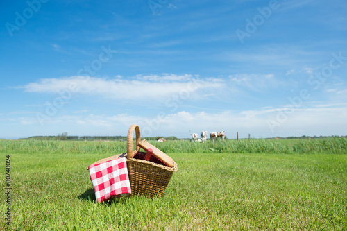Picnic basket in the country