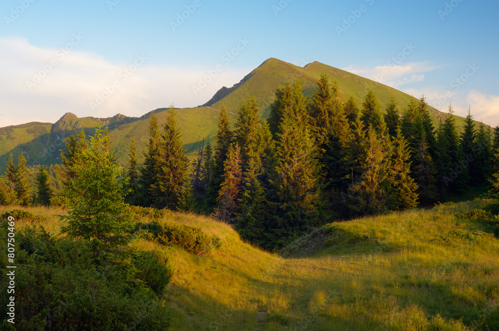 Obraz premium Evening in the Mountains