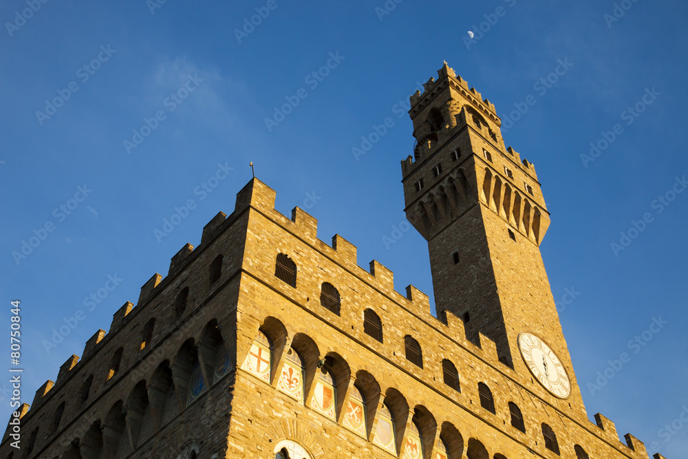 Firenze,Palazzo Vecchio e torre di Arnolfo.