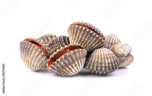 Clam shellfish food