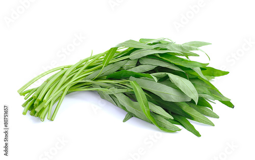 Canvastavla Water spinach isolated on white background